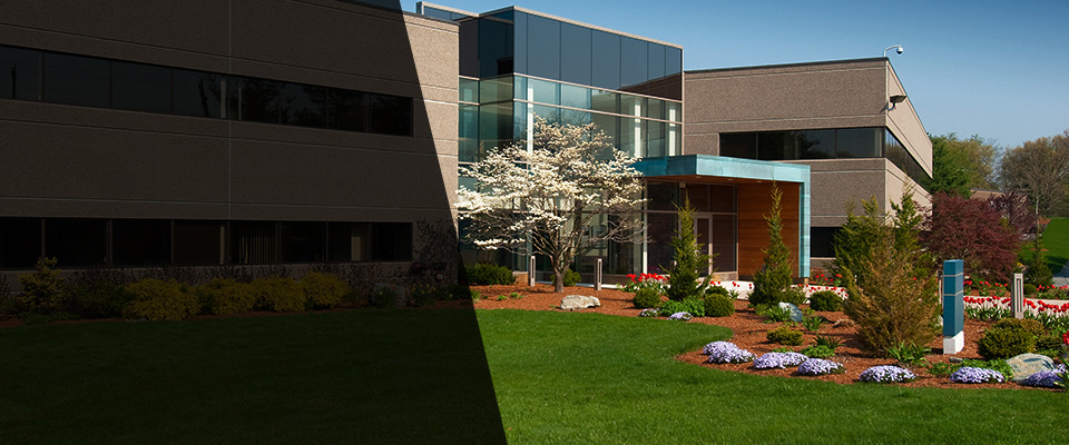 Claremont Landscapers