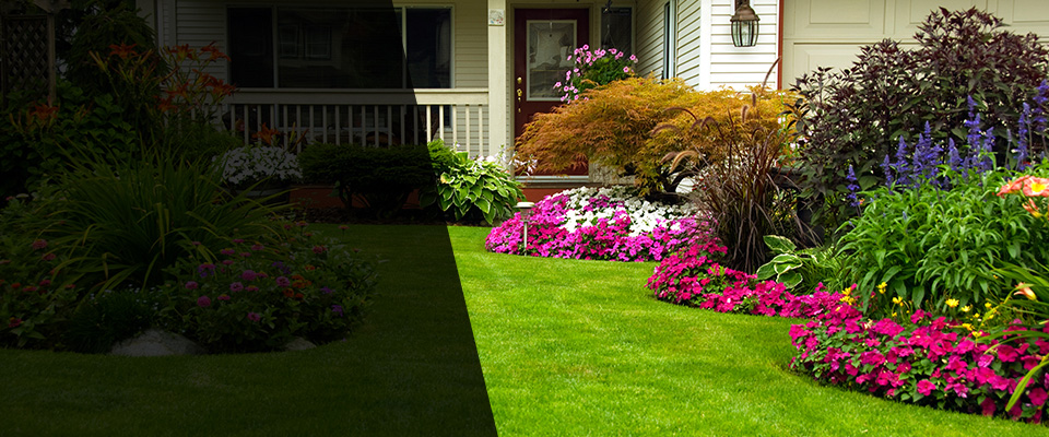 Claremont Landscapers