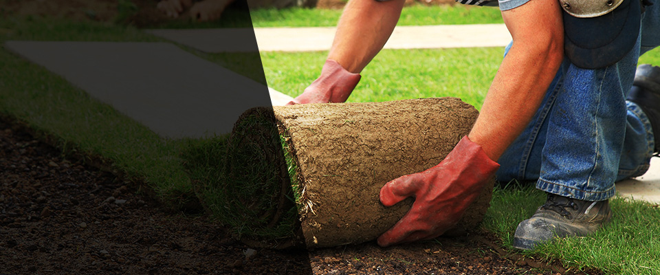Claremont Landscapers